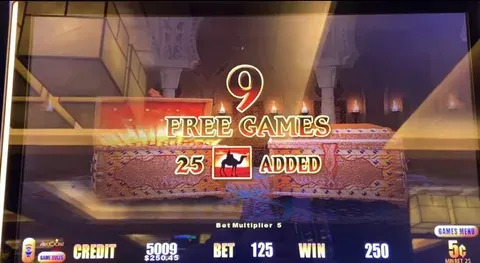 559bet cassino online 