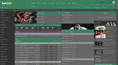 puxada do camelo no jogo do bicho 
